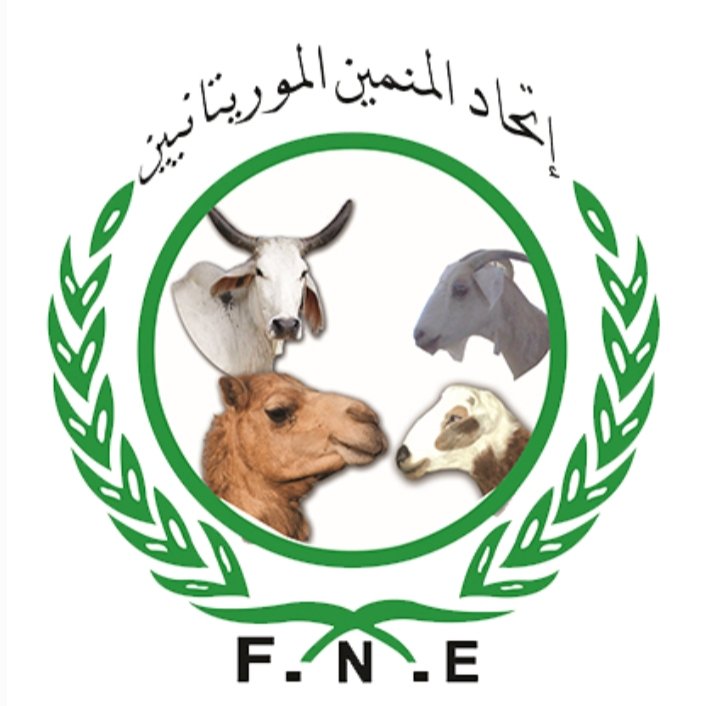 اتحادية المنمين تنتخب مكتب تنفيذي جديد