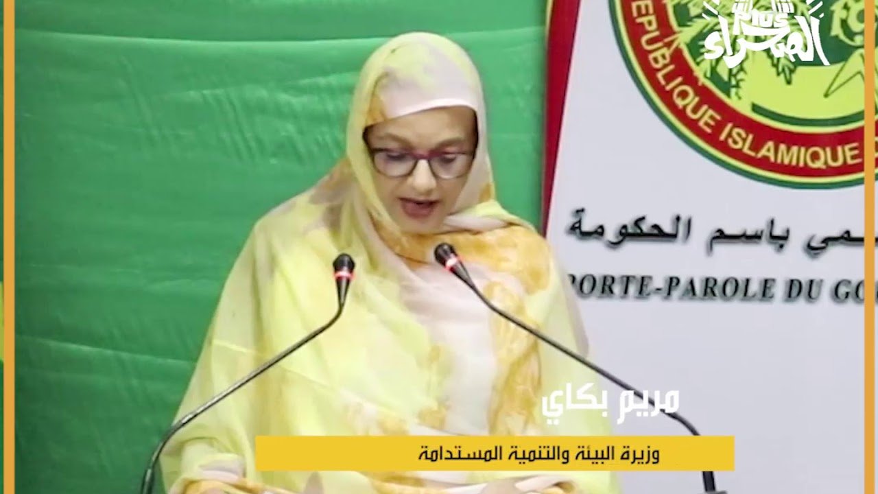 وزارة البيئة الموريتانية توقف عمل شركتين لإستخراج الذهب