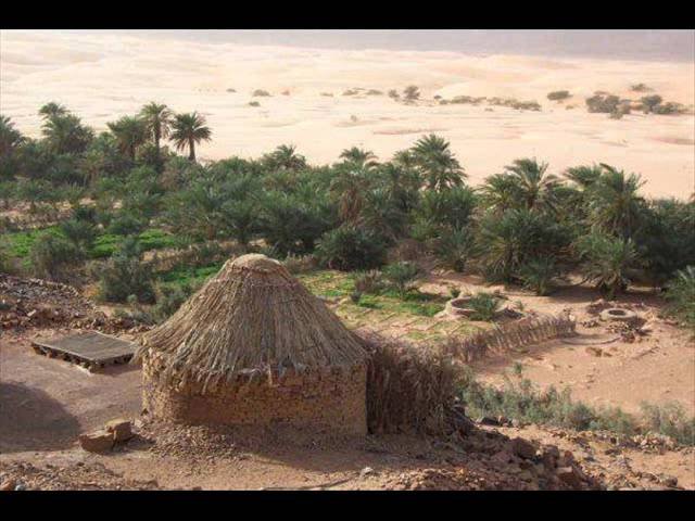 وصول دفعة جديدة من السياح إلى أطار
