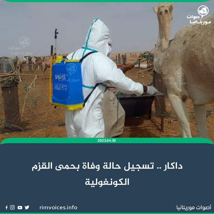 داكار .. تسجيل حالة وفاة بحمى القزم الكونكولية