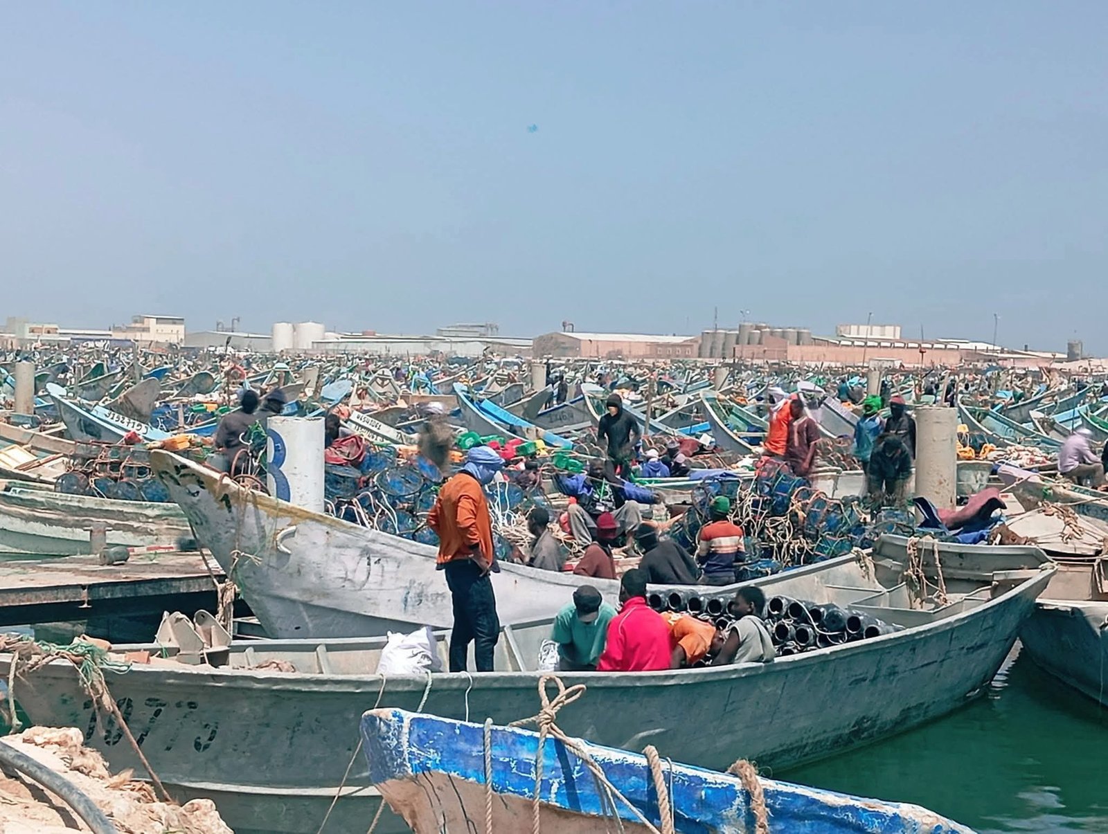 بحارة الصيد التقليدي يستأنفون نشاط الصيد بعد انتهاء فترة التوفيق البيولوجي