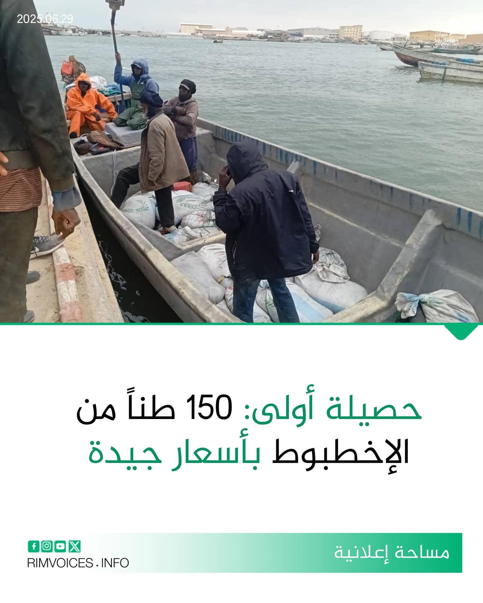 حصيلة أولى: 150 طن من الاخطبوط بأسعار جيدة