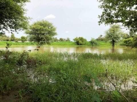 تساقطات مطرية على مناطق متفرقة من البلاد