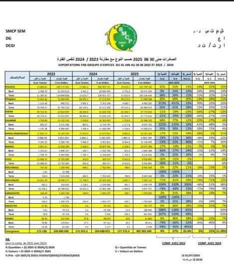ارتفاع صادرات الإخطبوط الموريتاني إلى نحو 20 ألف طن في النصف الأول من 2025