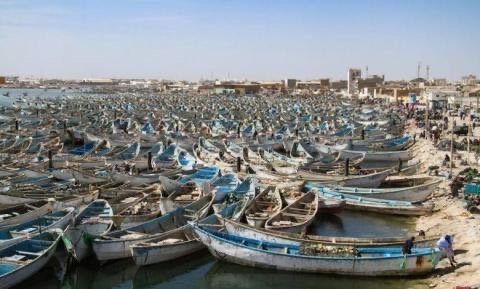 توقيف صيد الأخطبوط والحبار في موريتانيا بدءًا من فاتح أكتوبر