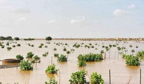 أمطار متفاوتة الغزارة على مناطق مختلفة من موريتانيا